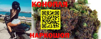 крисы Партизанск