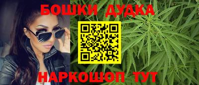 крисы Партизанск