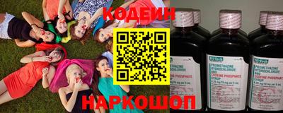 крисы Партизанск