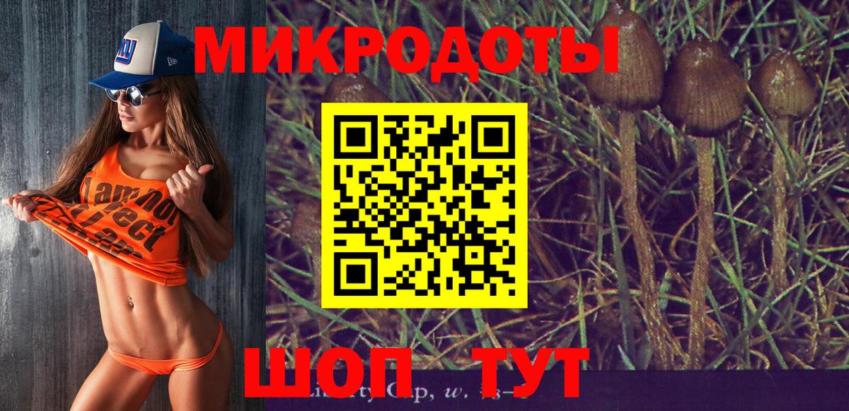 Псилоцибиновые грибы мицелий  Вход с VPN  где купить наркоту  Прохладный 