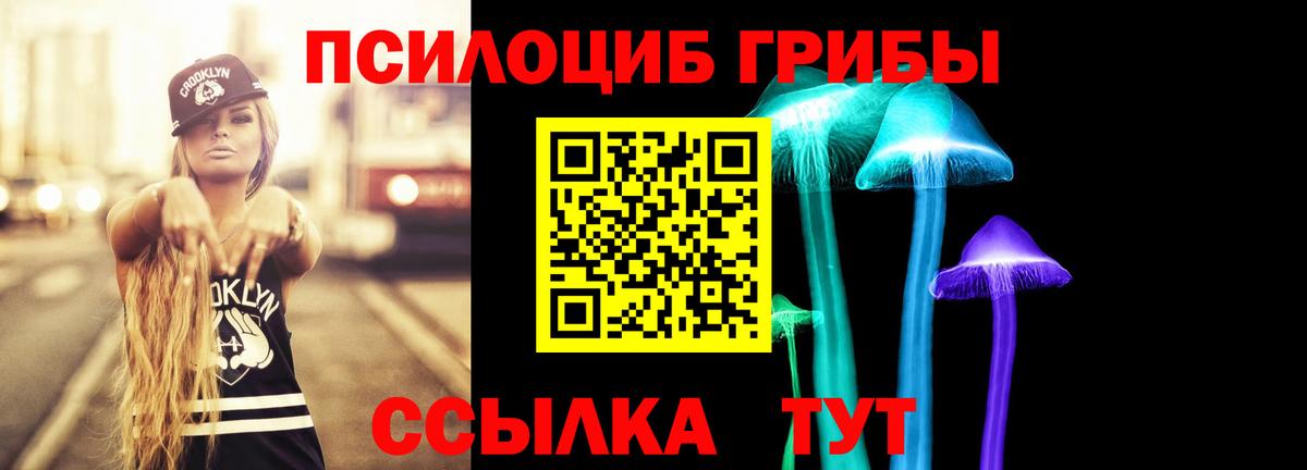 Галлюциногенные грибы Psilocybine cubensis Прохладный
